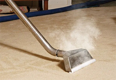 7 Reasons to Have Your Carpet Steam Cleaned