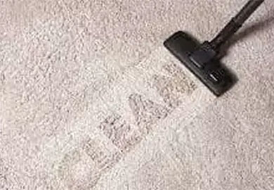Does Professional Carpet Cleaning Really Work?