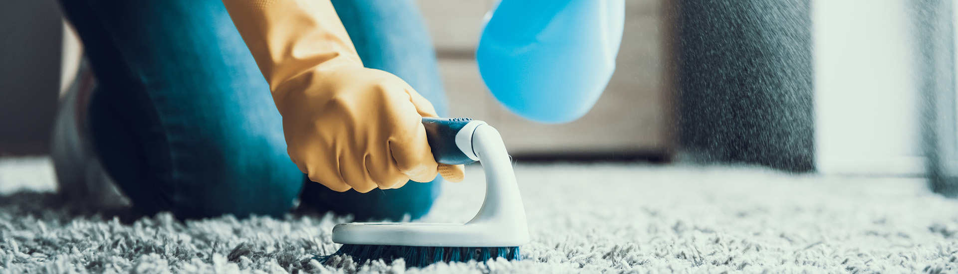 does professional carpet cleaning really work?