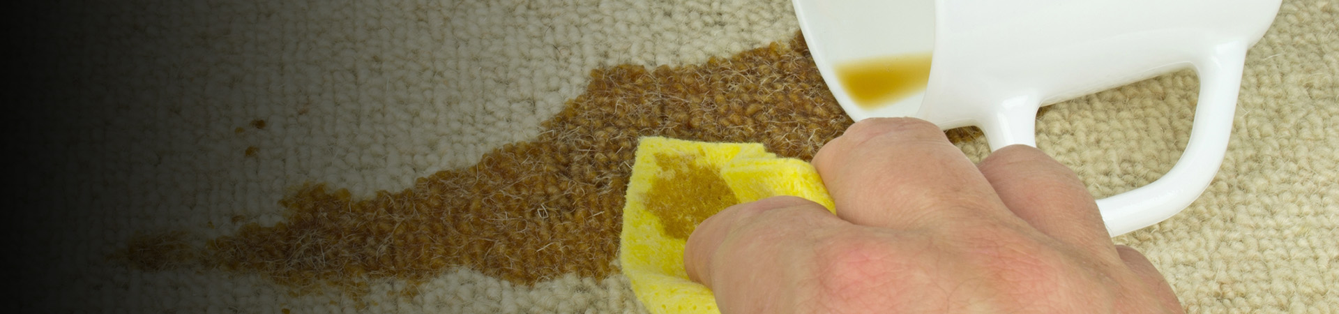 How to Remove the Top 5 Most Common Carpet Stains