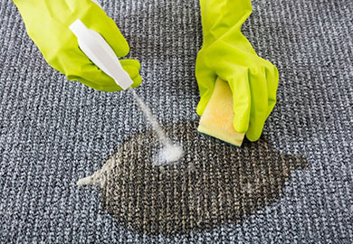 How to Remove the Top 6 Most Common Carpet Stains